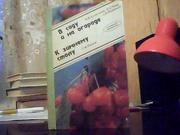  Алексеева Н. Н.,  Чиж А. Д.,  Шумейко Л. И. В саду и на огороде